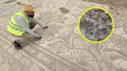 Un agricultor descubre en Turquía un mosaico romano único