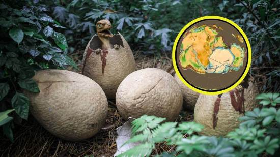 Hallazgo revela el origen oculto de los dinosaurios en Gondwana hace más de 230 millones de años
