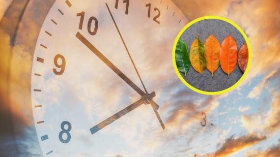 ¿Por qué el tiempo pasa más rápido cuando envejecemos?