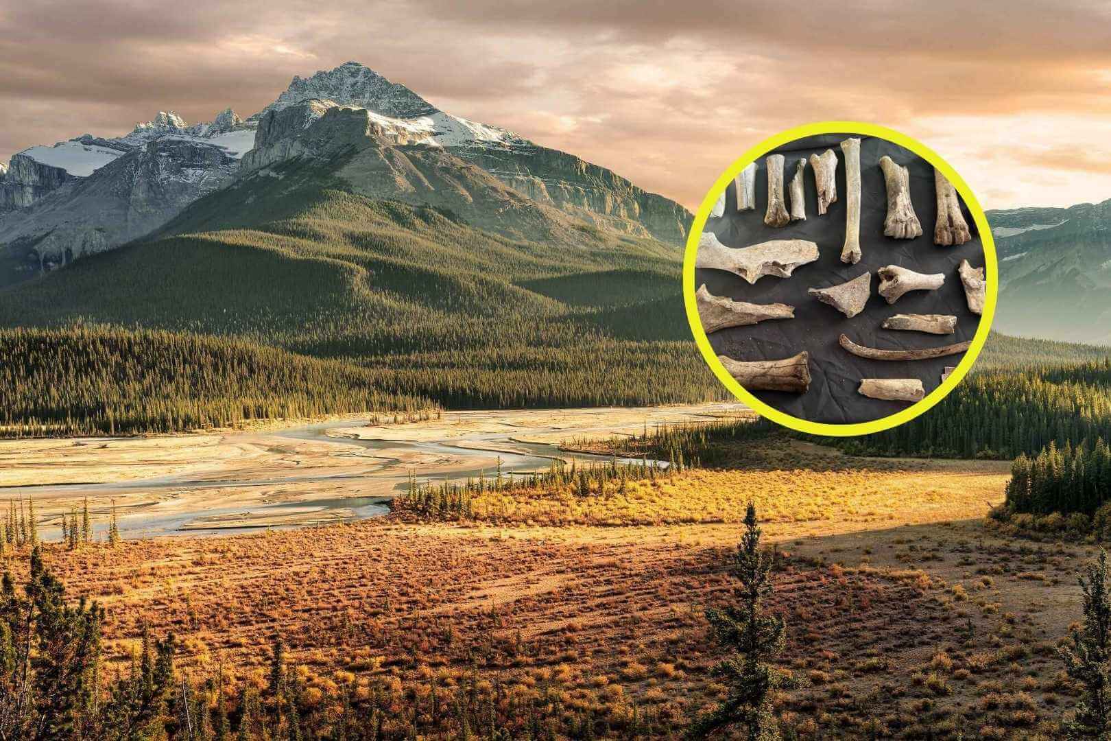 Este descubrimiento en Saskatchewan revela un asentamiento de 11.000 años de antigüedad, desafiando las ideas previas sobre la presencia y organización de las primeras civilizaciones indígenas en América del Norte