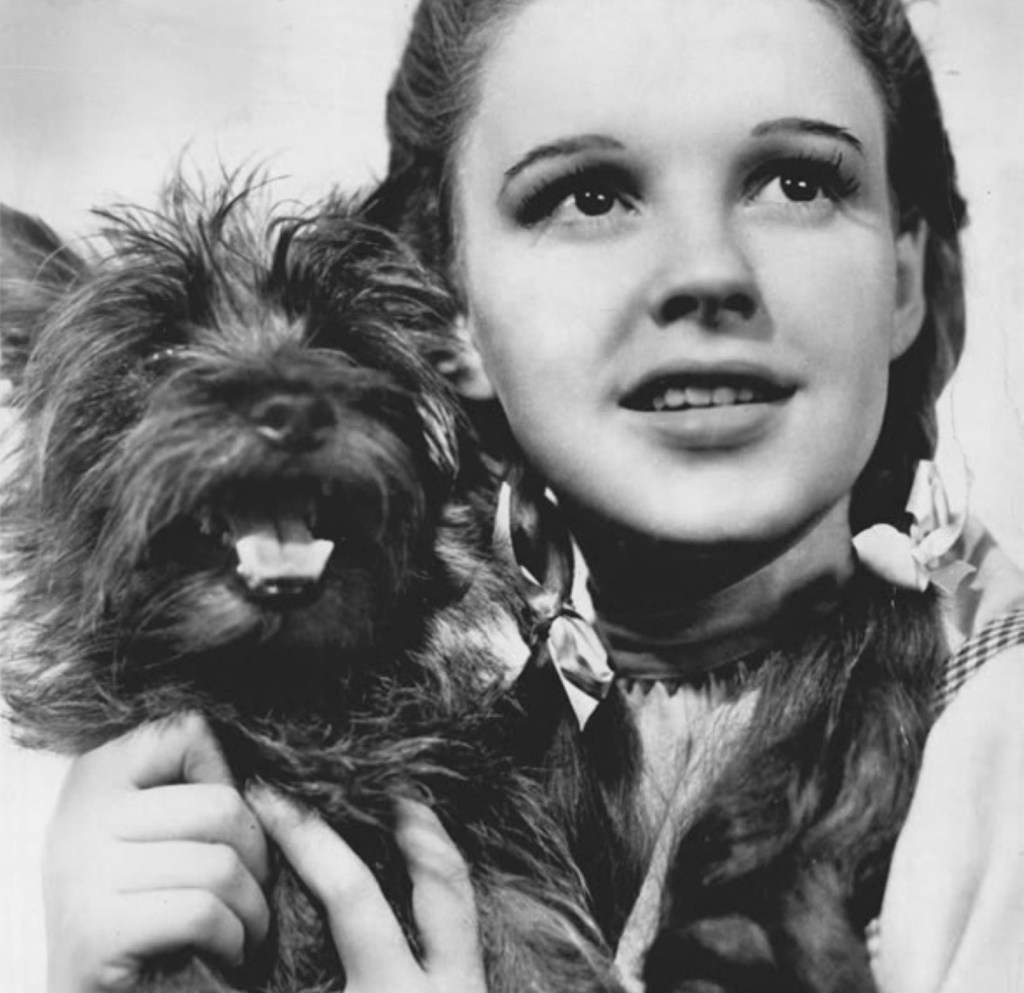 Toto y Dorothy en El mago de Oz