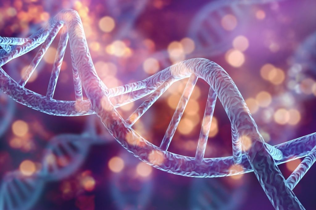 Una nueva investigación sugiere que una dieta saludable y con poca azúcar podría contribuir a ralentizar los signos del envejecimiento biológico