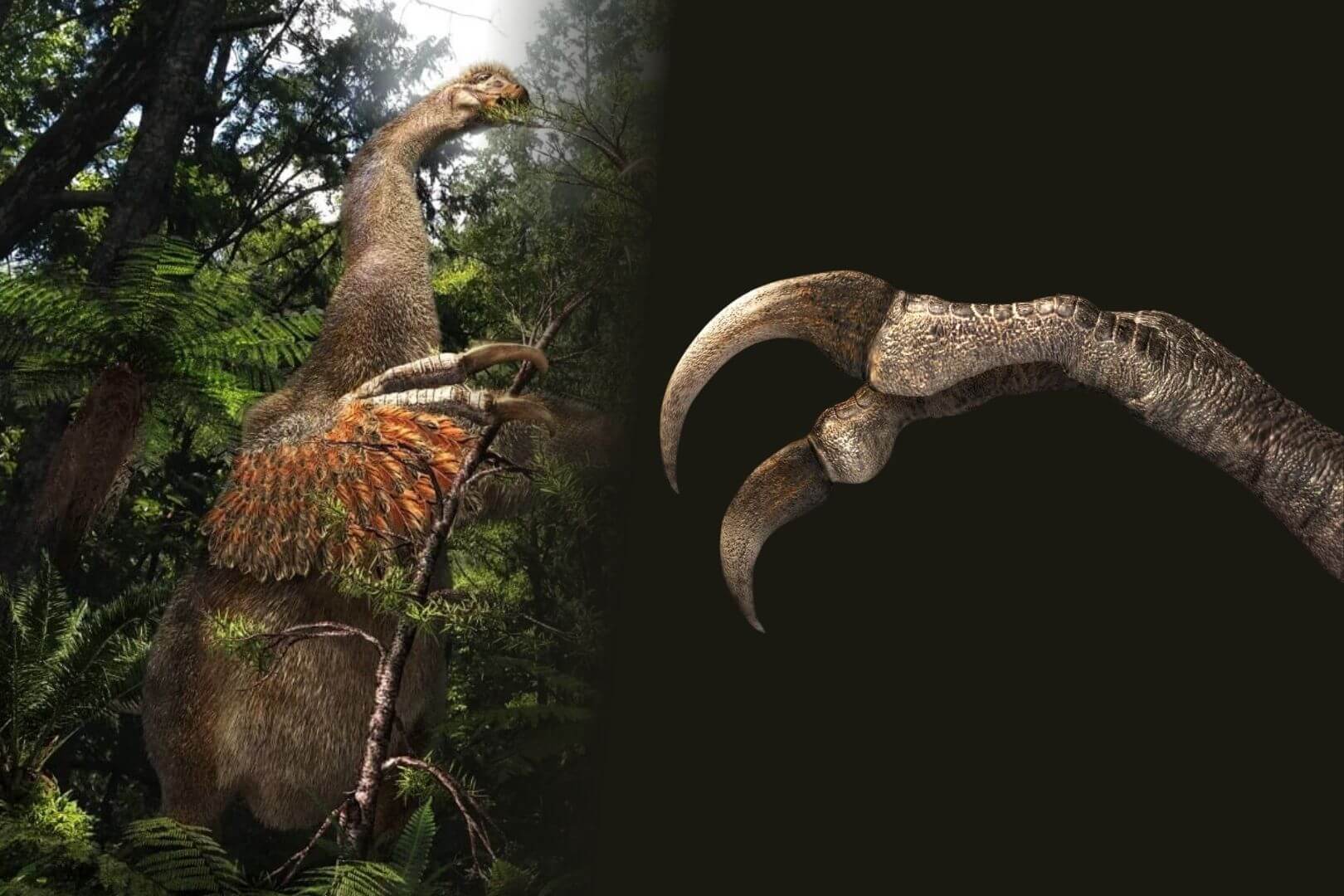 Descubren un dinosaurio con dos garras gigantes y una función inesperada