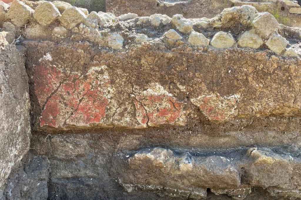 Muchos de los restos se han encontrado en un estado de conservación óptimo