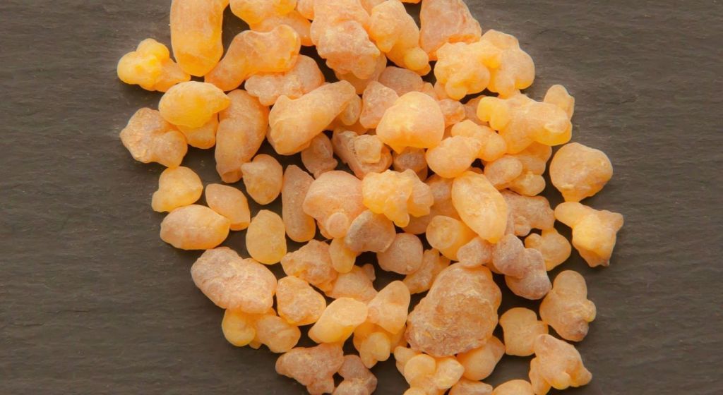 Boswellia sacra
