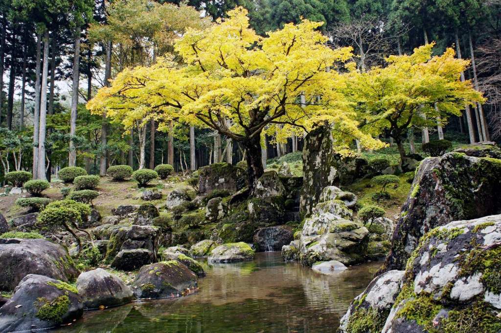 Ichijodani