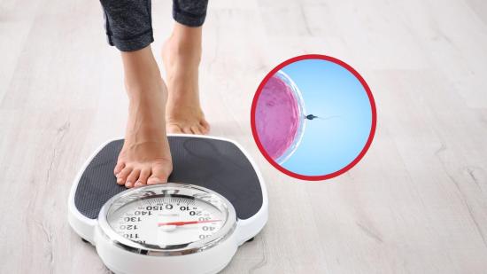 Así influye el frío antes de la concepción en tu metabolismo, según la ciencia