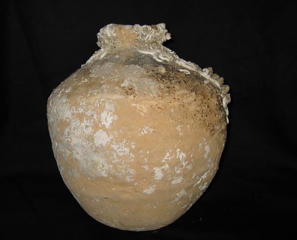 Botija Parrote