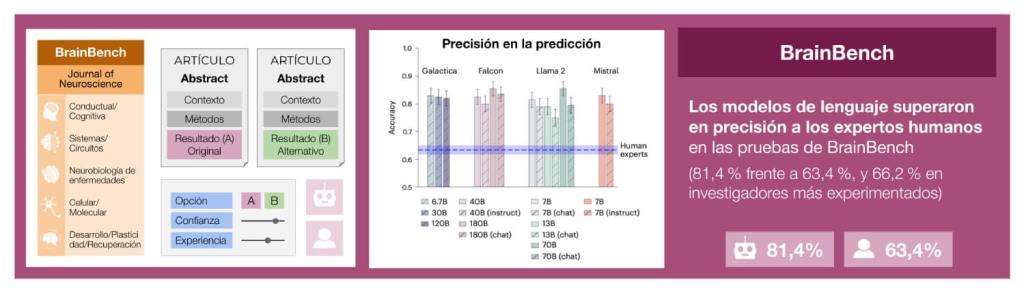 Figura 2. BrainBench evalúa la capacidad para predecir resultados en neurociencia. Los casos de prueba se extrajeron de resúmenes recientes de la revista Journal of Neuroscience. En el estudio se debe elegir entre el resumen original y una versión modificada que altera sustancialmente el resultado, pero mantiene la coherencia del texto. Se pidió tanto a expertos humanos como a modelos de lenguaje que seleccionaran la versión correcta (es decir, la original) entre las dos opciones.
Los modelos de lenguaje superaron significativamente a los expertos humanos en las pruebas de precisión de BrainBench. Los modelos más pequeños mostraron un rendimiento comparable al de los más grandes. Curiosamente, las versiones base de los modelos superaron a las versiones conversacionales chat e instruct, a pesar de que estas últimas están diseñadas para interactuar de manera más natural con humanos. Cada modelo fue evaluado en 200 casos de prueba de BrainBench. En total, se evaluó a 171 expertos humanos, que completaron 1.011 ensayos en los mismos casos. Crédito: Nature Human Behaviour (Luo et al. 2024, Nat Hum Behav).