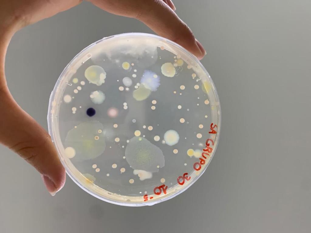 ¿Está la solución a la pandemia silenciosa bajo nuestros pies? Micromundo