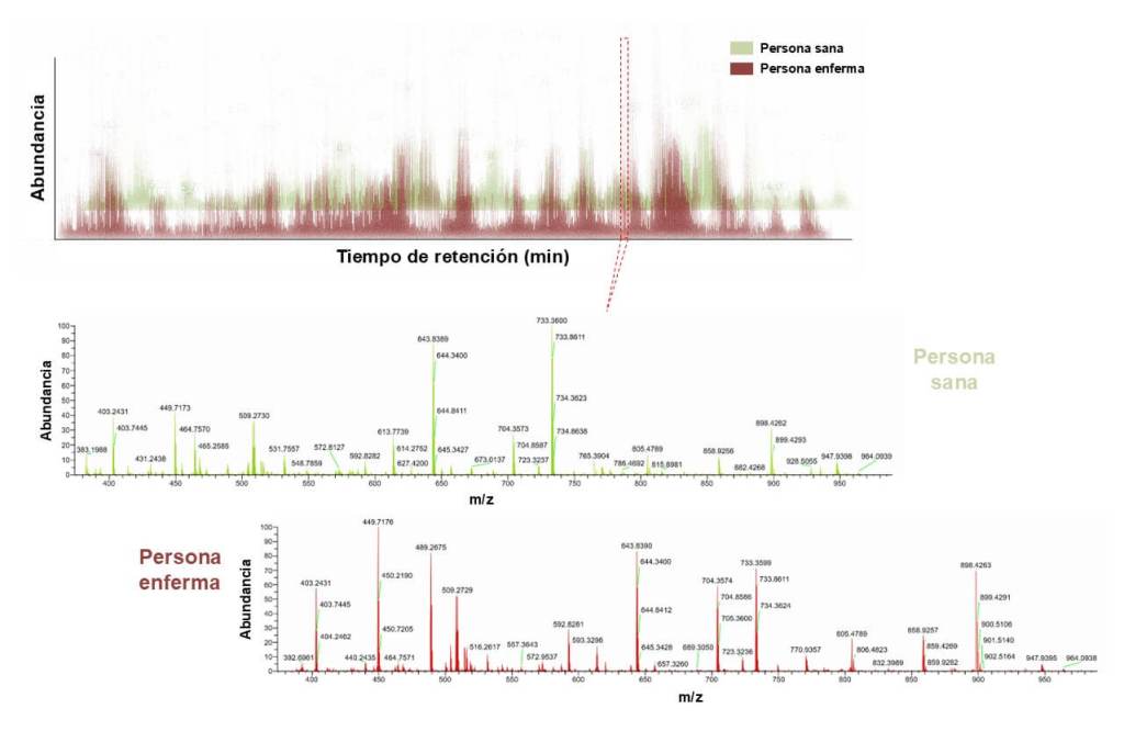 Figura 2. Espectros de espectrometría de masas. Comparación de espectros de espectrometría de masas (MS1 -arriba- y MS2 -abajo- en verde y rojo separado-) entre una persona sana y una persona enferma. Cada espectro representa el "perfil molecular" de las proteínas presentes en la muestra analizada. En la persona sana, los picos reflejarían una composición proteica equilibrada, mientras que en la persona enferma se observan diferencias en la intensidad (abundancia) y presencia de ciertos picos (m/z), indicando proteínas alteradas o desreguladas. Imagen cedida por los autores a partir de un experimento real de la Unidad de Proteómica Funcional del Instituto de Salud Carlos III.
