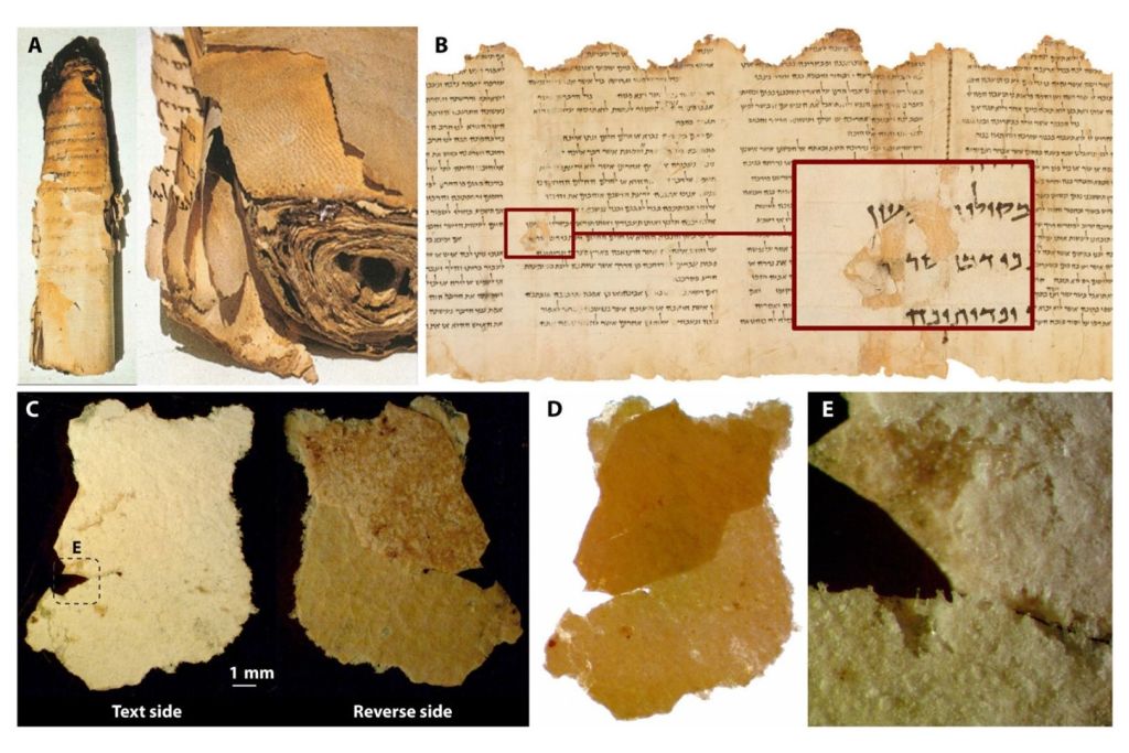 El Rollo del Templo, uno de los más extensos y mejor conservados entre los Manuscritos del Mar Muerto, fue elaborado uniendo 19 tiras de cuero recubiertas con una capa inorgánica de sales y minerales