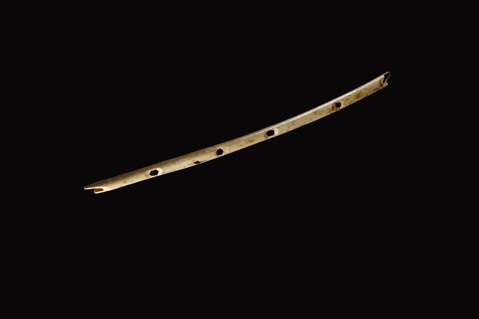 Instrumentos prehistóricos como esta flauta revelan las primeras expresiones musicales de la humanidad en Europa