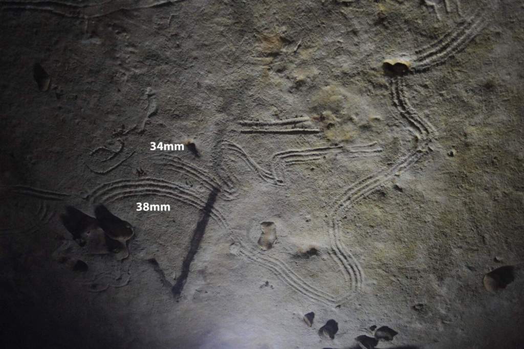 Pinturas realizadas con los dedos por niños en la cueva de Rouffignac, entre hace 14.000 y 20.000 años
