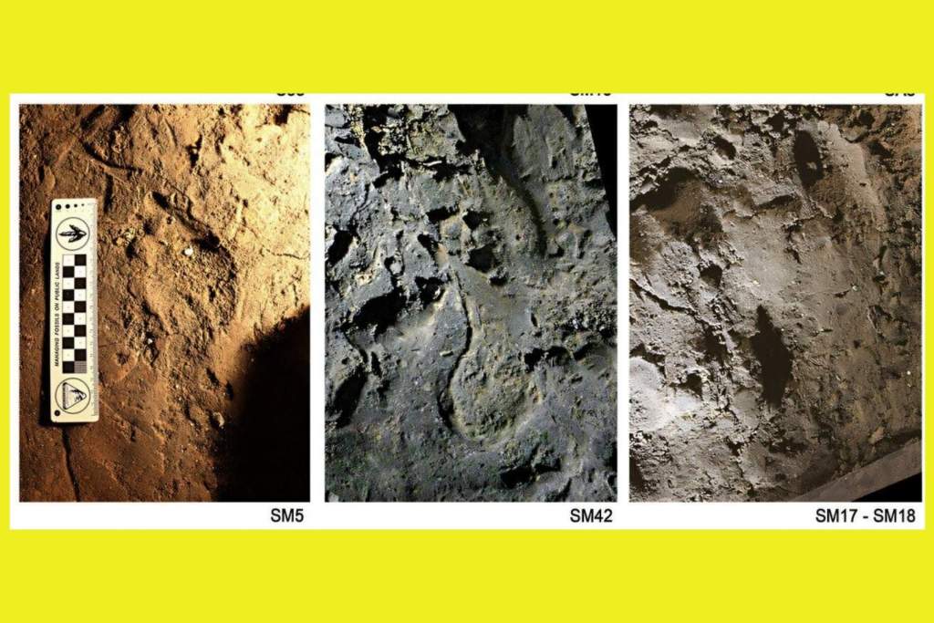 Huellas infantiles de hace 14.000 años encontradas en la cueva de Basura