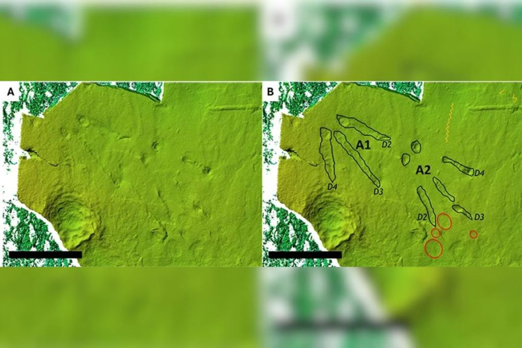 Según los investigadores, las aves costeras prehistóricas de Oregón buscaban alimento de un modo muy similar al de las especies actuales