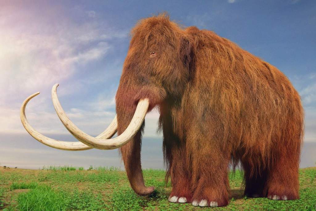 Descubren en Ucrania las primeras pruebas conocidas de fabricación de herramientas en marfil, con una antigüedad de 400.000 años