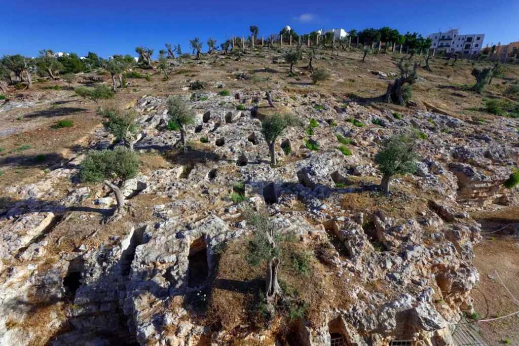 Necrópolis púnica de Puig des Molins, en Ibiza. El reciente estudio de ADN antiguo analizó restos humanos hallados en este emblemático yacimiento