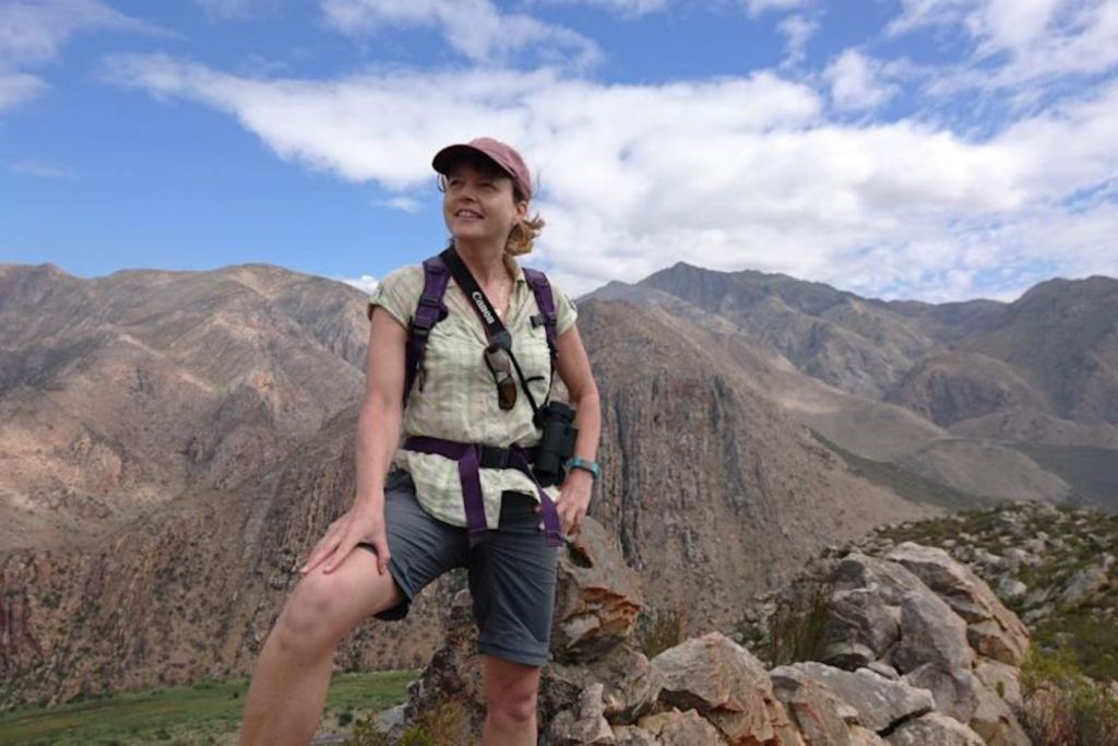 Fue en las montañas de Cederberg donde Sarah Gabbott descubrió el fósil de este antiguo artrópodo