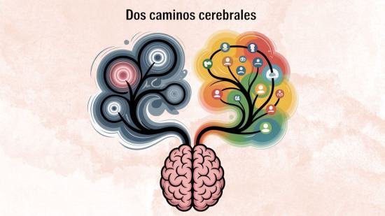 Cómo el dolor crónico cambia el cerebro, plasticidad cerebral y estrategias para manejarlo 