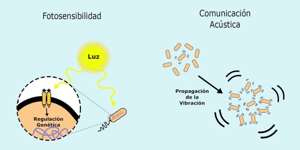 Gráfico comunicación
