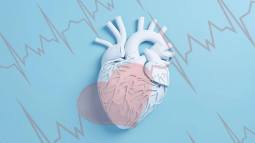 Tu corazón podría ser décadas más viejo, una nueva técnica con resonancia lo demuestra