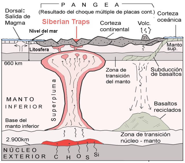 Figura 3: Creación y ascenso de plumas mantélicas y llegada de coladas de basalto al exterior. Este mecanismo es el propuesto para el desarrollo de los Siberian Traps y el origen de la extinción masiva de la transición Pérmico-Triásico.