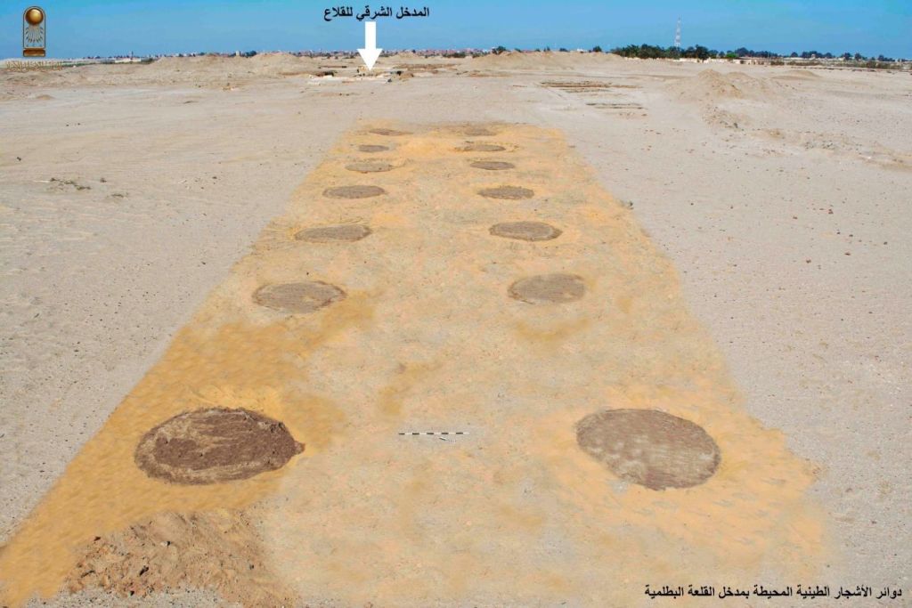 Vista aérea de los círculos de barro cocido alineados a ambos lados del camino de entrada oriental a la fortaleza ptolemaica de Tell Abu Sifi, donde se plantaron más de 500 árboles hace 2.000 años como parte del diseño defensivo y ceremonial del enclave
