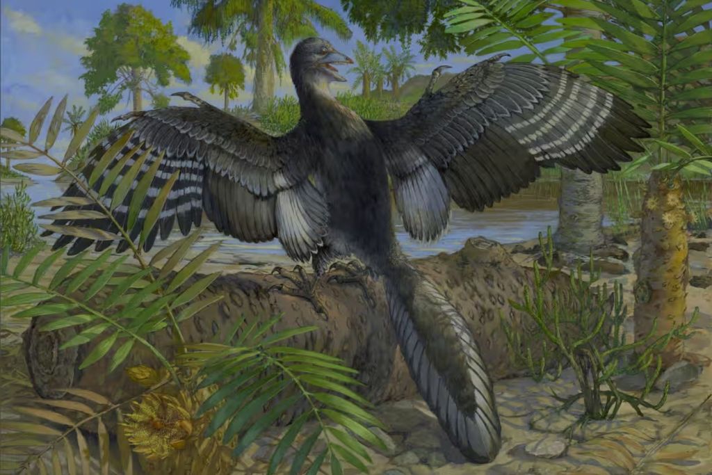 Recreación artística de Archaeopteryx en su entorno natural, mostrando las plumas terciarias que habrían sido clave para su capacidad de volar