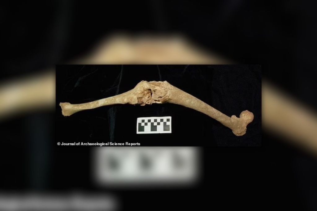 Los investigadores sostienen que los restos atribuidos durante años a Filipo II de Macedonia, padre de Alejandro Magno, en realidad no le pertenecen