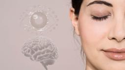 Tu cerebro no se apaga en un parpadeo, así rellenas los huecos de visión, según la ciencia