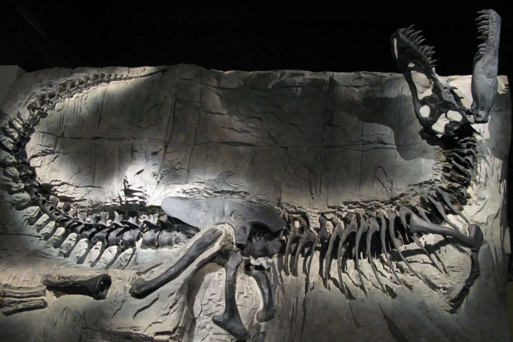 Aunque existen fósiles completos y espectaculares que nos permiten conocer con detalle al T. rex (como el que aparece en la imagen), sus antepasados más antiguos siguen envueltos en un halo de misterio