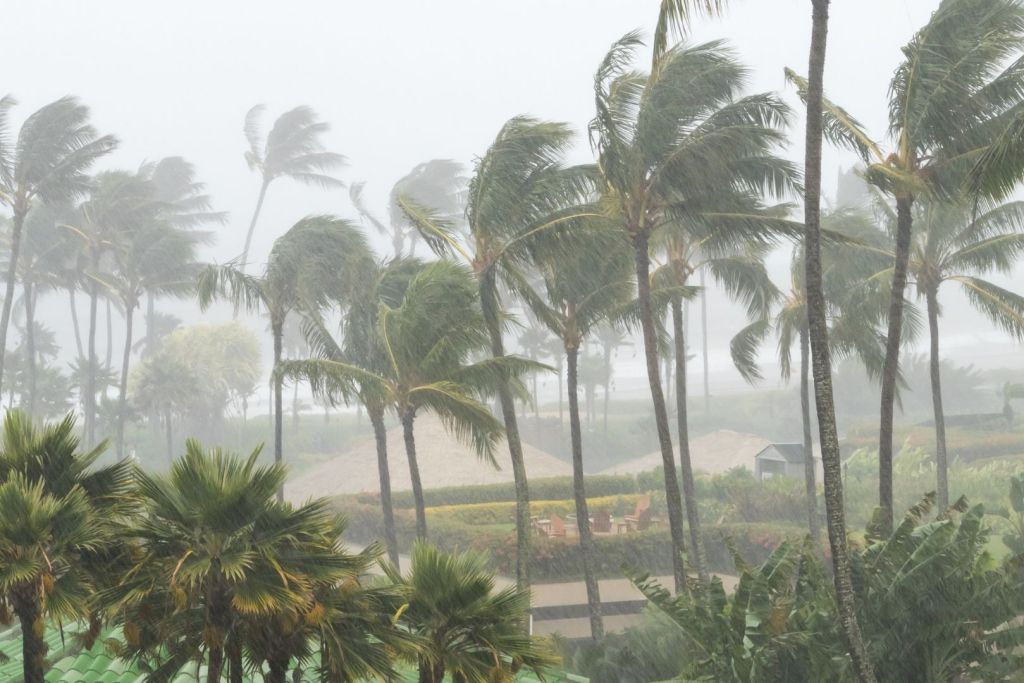 La evolución del clima en Asia sirve como indicador del impacto del cambio climático a escala global, según la Organización Meteorológica Mundial