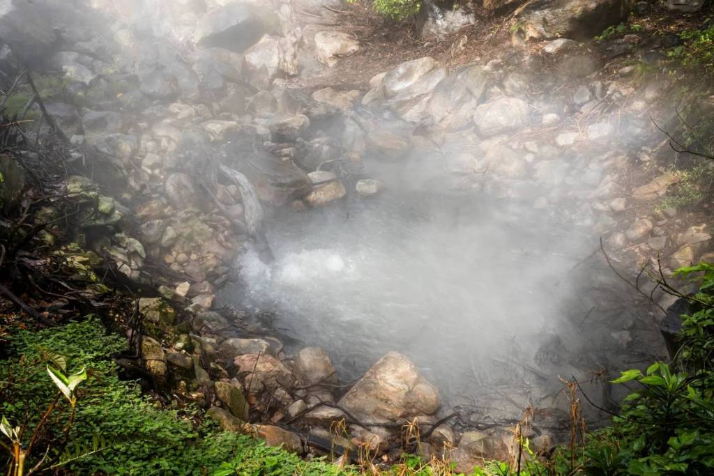 En las cercanías del volcán Rincón de la Vieja, en Costa Rica, el dióxido de carbono liberado por el magma en ascenso emerge hacia la superficie, calentando las aguas de una poza termal
