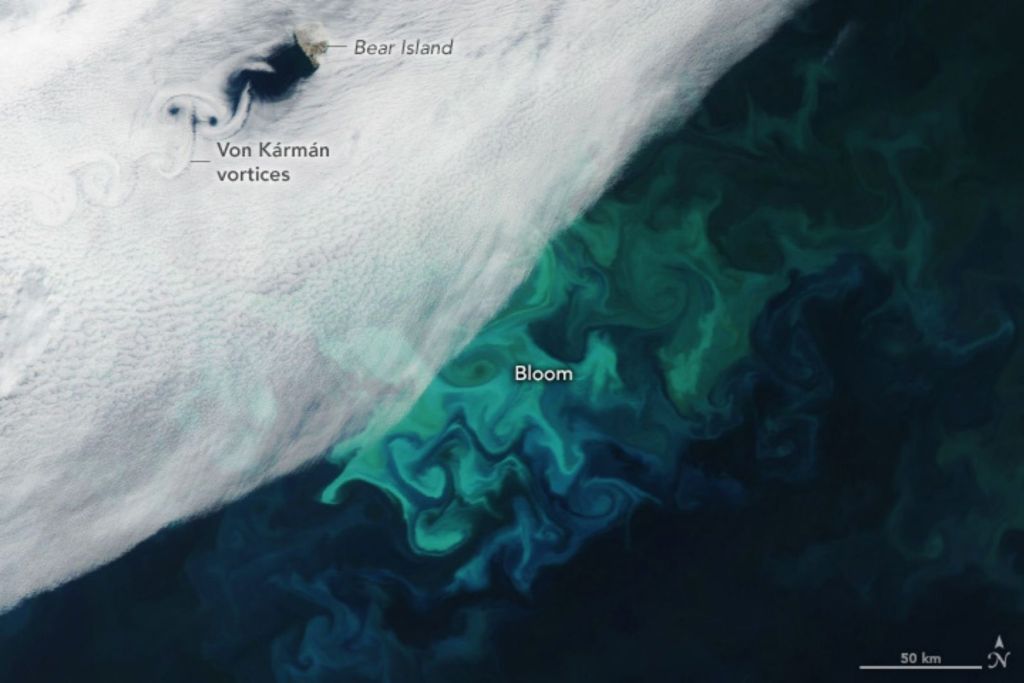 Remolinos en el cielo y espirales en el mar