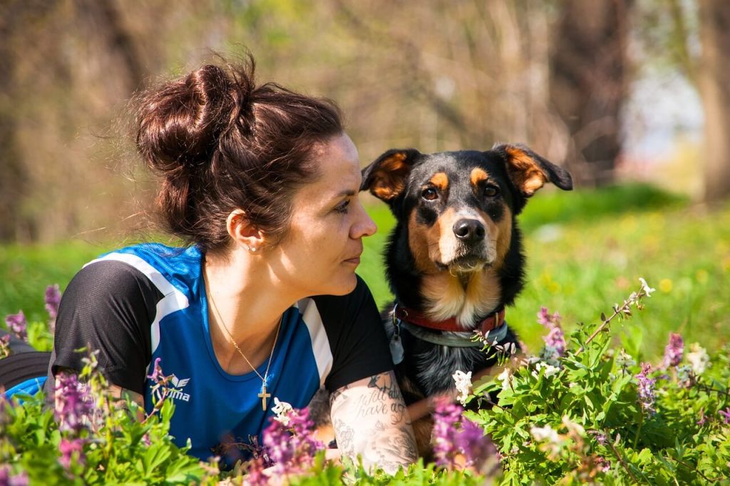 Más del 37 % de los perros mostró un sesgo espacial al elegir, lo que podría haber afectado los resultados.