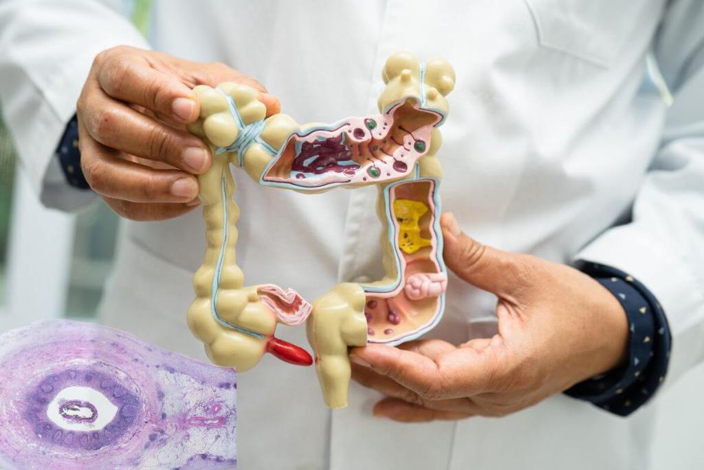 ¿Las neuronas no se regeneran? Mitos sobre salud que la ciencia ya ha desmentido 3