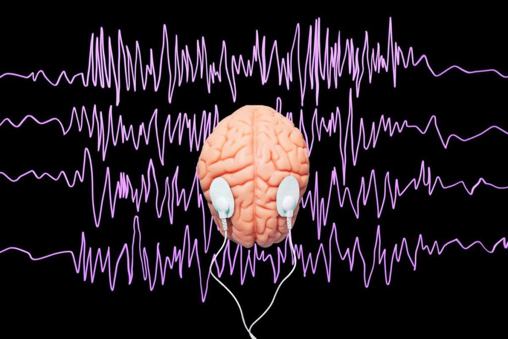 ¿Y si el cerebro tiene una firma matemática única? Un estudio revela que cada región cerebral se distingue por un patrón, incluso cuando dormimos 1