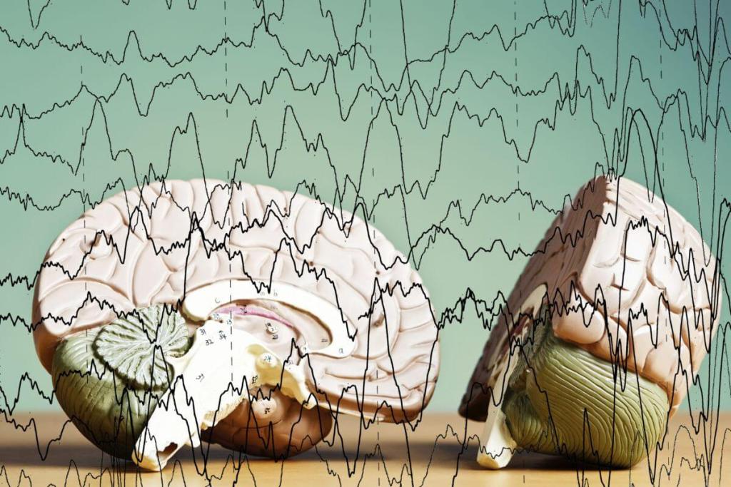 ¿Y si el cerebro tiene una firma matemática única? Un estudio revela que cada región cerebral se distingue por un patrón, incluso cuando dormimos 3