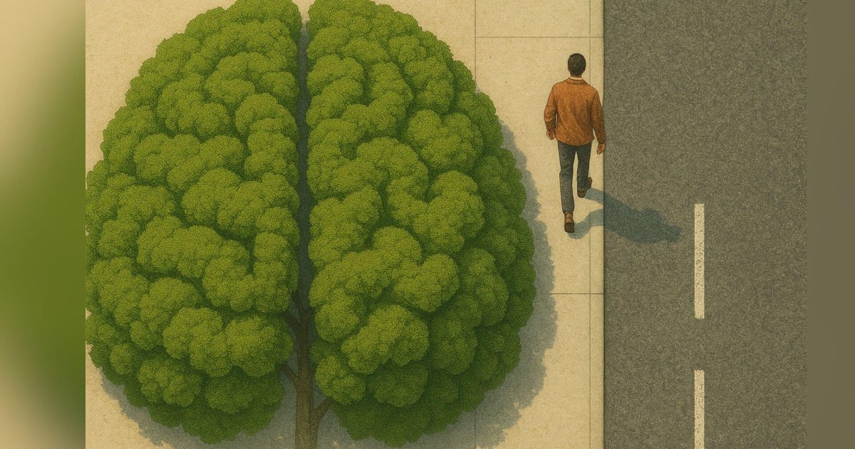 La regla del 3-30-300: cómo la naturaleza puede transformar nuestra salud mental en las ciudades