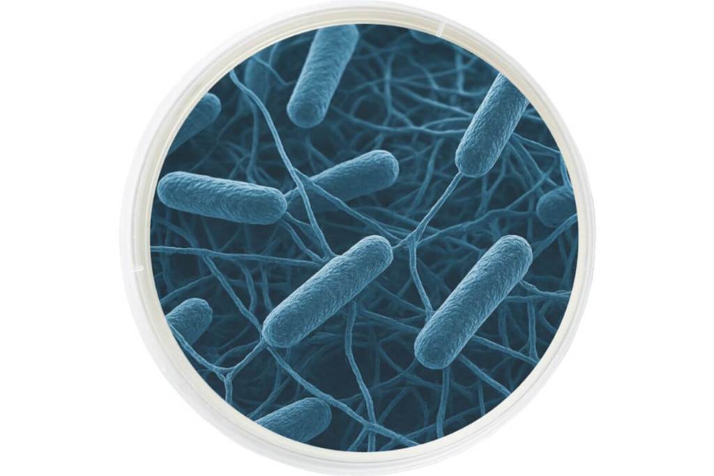 Descubren un microbio subterráneo capaz de purificar el agua contaminada en zonas profundas del planeta 2