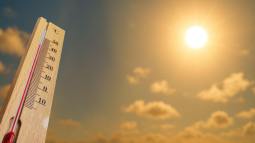 La ciencia advierte más allá de las olas de calor, la exposición constante al calor crónico es una amenaza creciente