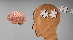 Ni memoria fotográfica ni corte de digestión, estos mitos de salud no resisten un análisis científico