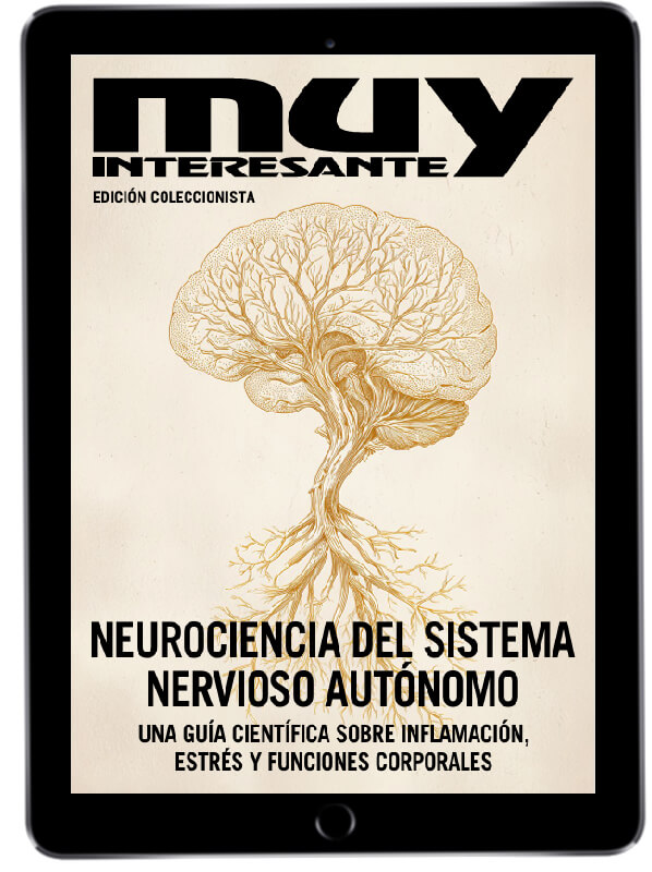Muy Interesante — Edición coleccionista —Neurociencia del sistema nervioso autónomo— 61