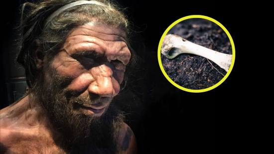 Un yacimiento prehistórico revela que los neandertales ya dominaban técnicas complejas de procesado de alimentos que se creían exclusivas del Homo sapiens moderno