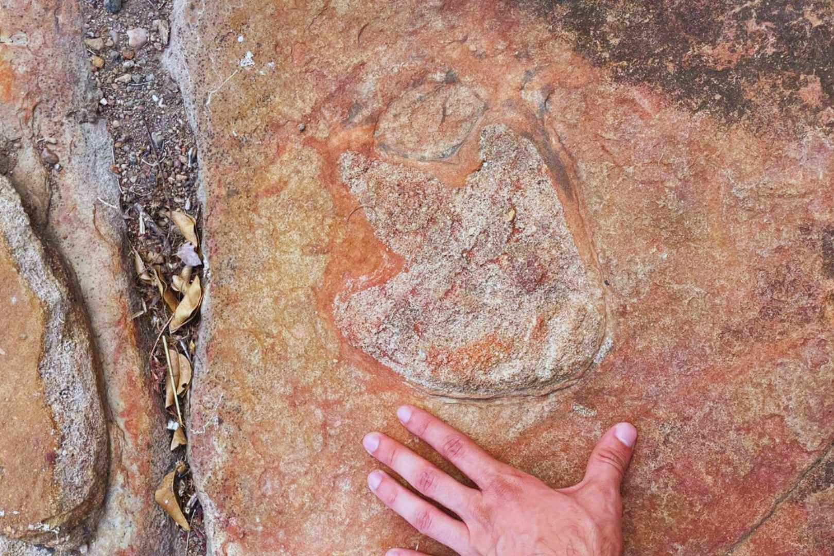 Huellas de dinosaurio junto a arte rupestre