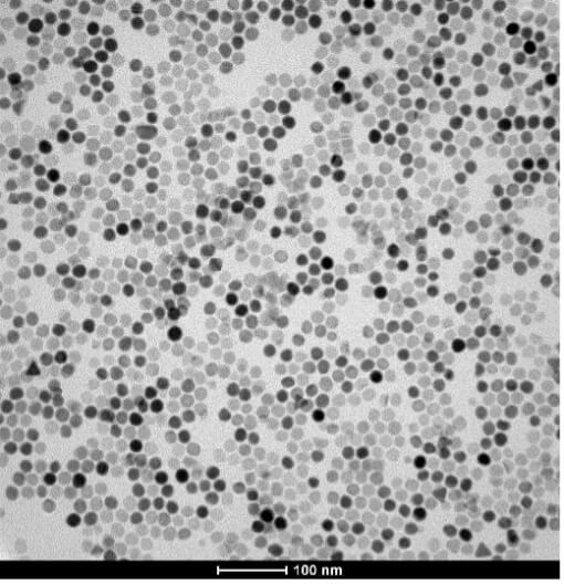 Magnetogenetica.