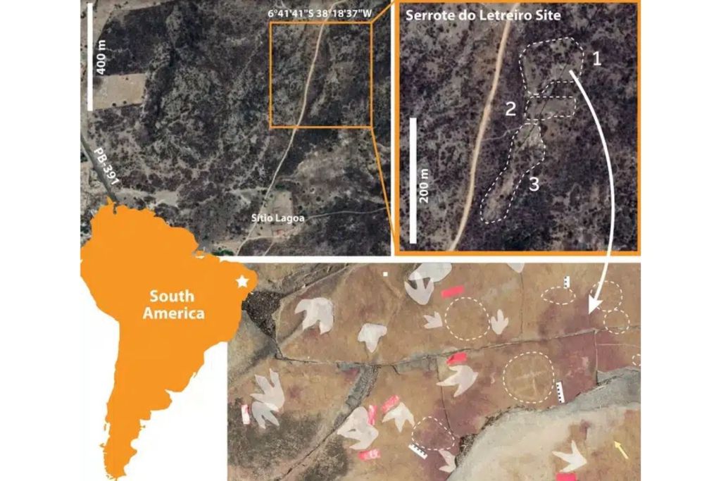 El sitio arqueológico muestra cómo culturas antiguas del noreste brasileño eligieron zonas marcadas por huellas de dinosaurio para dejar sus símbolos