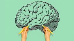 Tus manos moldean tu visión: la ciencia revela cómo la dominancia manual cambia tu percepción. Fuente: iStock (composición ERR)