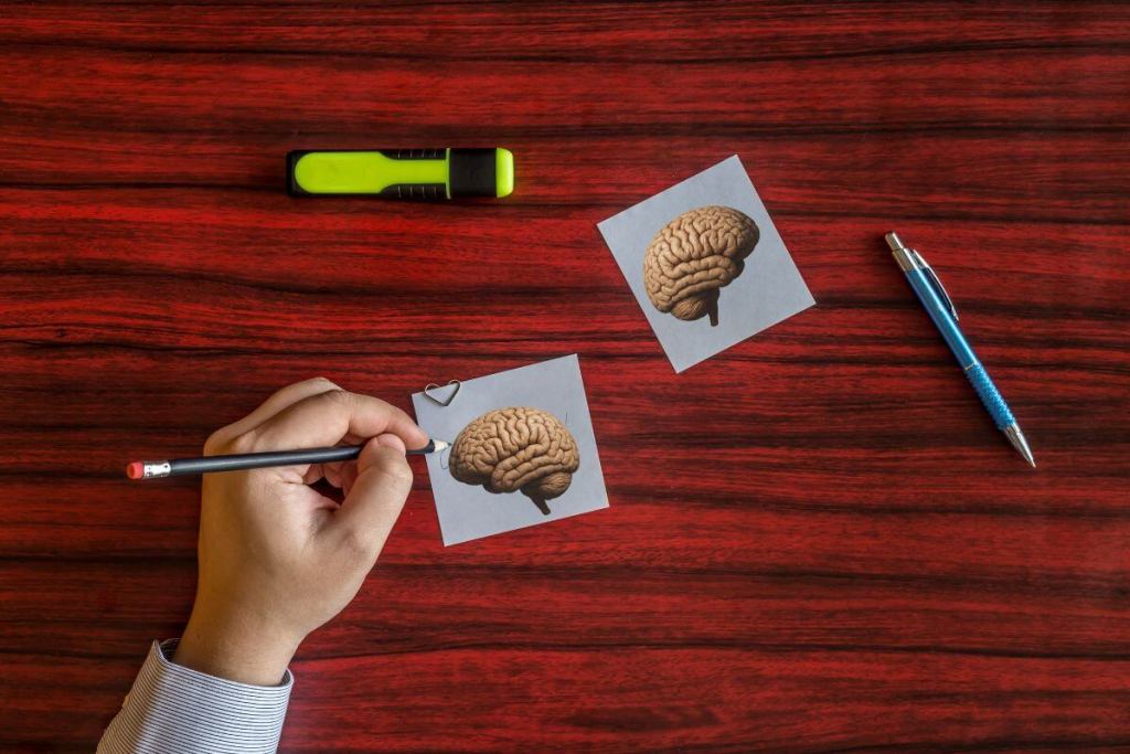 ¿Eres zurdo o diestro? Así cambia la forma en que tu cerebro procesa las imágenes 3